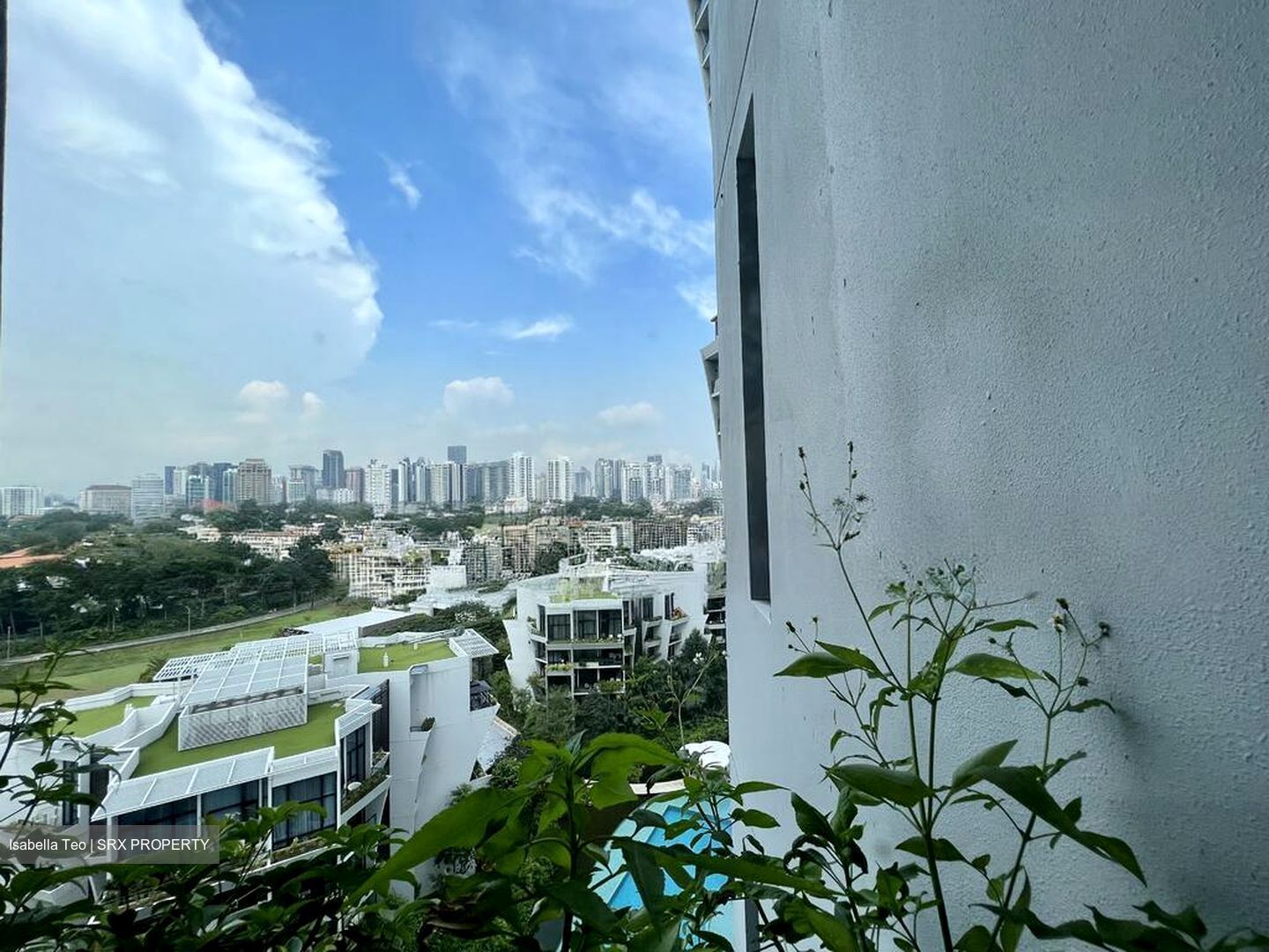 The Crest (D3), Condominium #510987911
